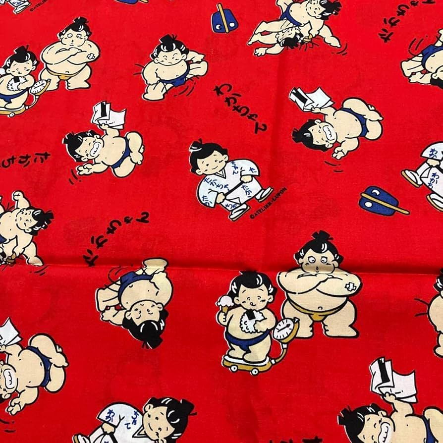 激レア　羽子板　若ノ花　貴ノ花　相撲グッズ　貴乃花　若乃花　若貴　正月 61O70dxqvaL._AC_SY200_QL15_.jpg